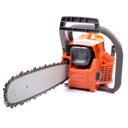 Chainsaw for Tree Pruning
