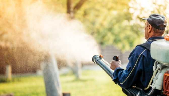 How Mist Blowers Different from Sprayers