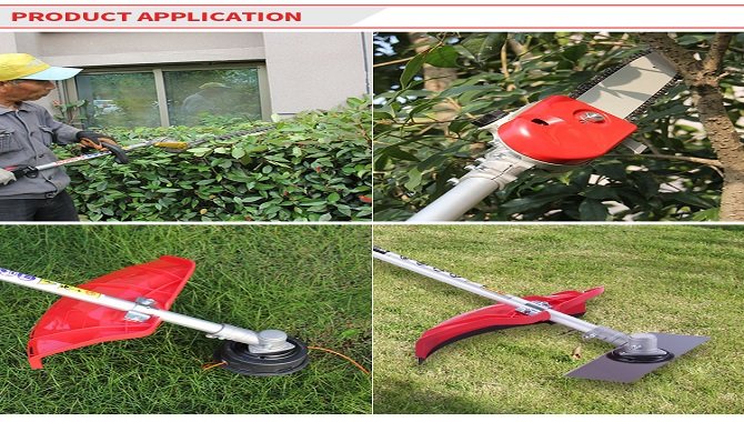 POLE SAWS APPLICATIONS