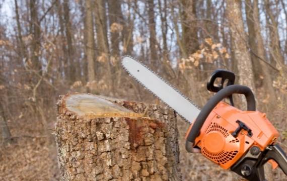 Types of Chainsaw Bars