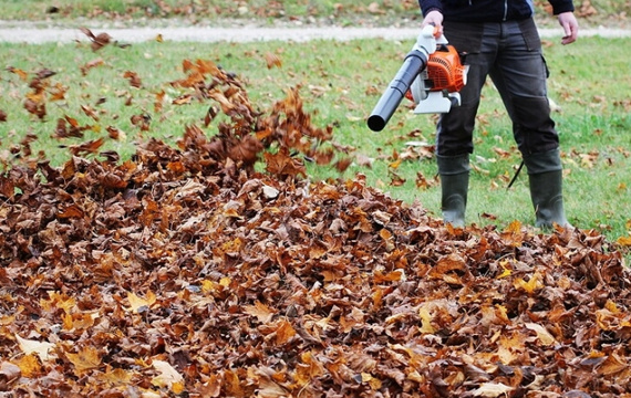 https://litagarden.com/wp-content/uploads/2022/05/leaf-blower-Factory.jpg